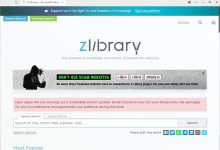 全球最大的电子书免费下载网站Z-library-小柒影视