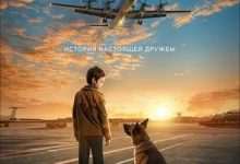 忠犬帕尔玛 (2021) 4K 1080P 阿里 夸克 百度 迅雷 UC 云盘 磁力 下载-小柒影视